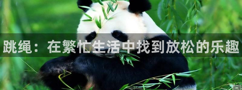 跳绳：在繁忙生活中找到放松的乐趣