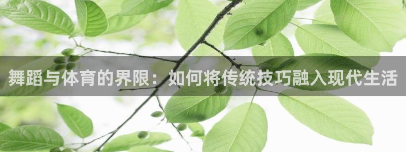 舞蹈与体育的界限：如何将传统技巧融入现代生活