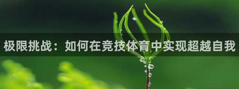 极限挑战：如何在竞技体育中实现超越自我