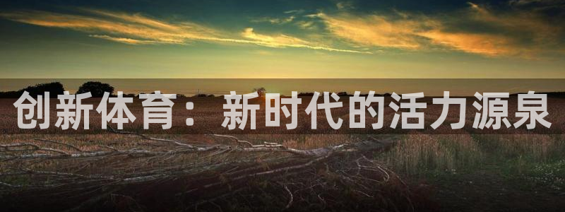 创新体育：新时代的活力源泉