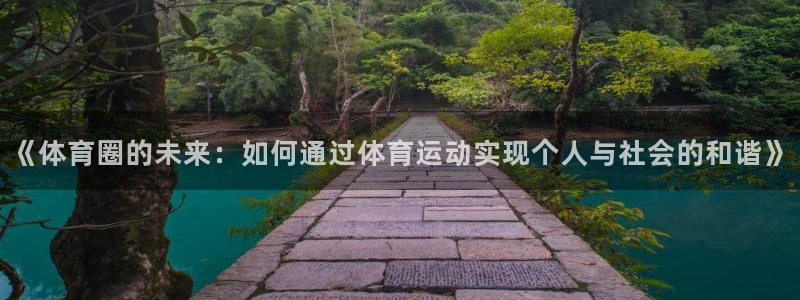 《体育圈的未来：如何通过体育运动实现个人与社会的和谐》