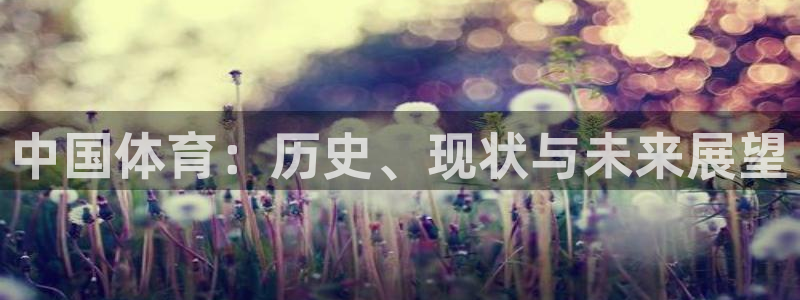中国体育：历史、现状与未来展望