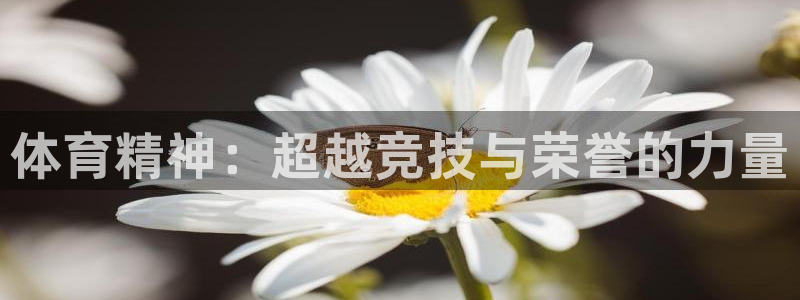 体育精神：超越竞技与荣誉的力量