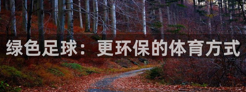 绿色足球：更环保的体育方式