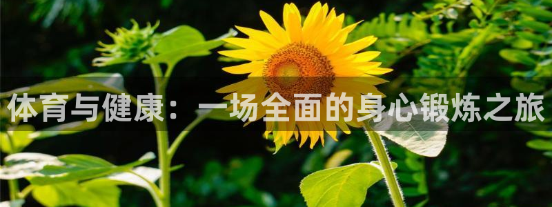 体育与健康：一场全面的身心锻炼之旅