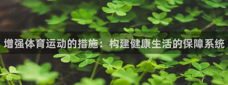 增强体育运动的措施：构建健康生活的保障系统