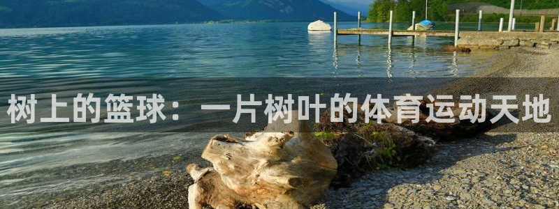 树上的篮球：一片树叶的体育运动天地