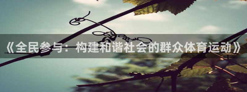 《全民参与：构建和谐社会的群众体育运动》