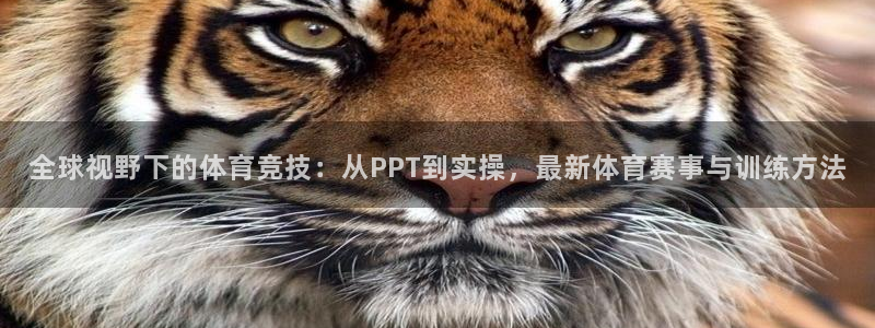全球视野下的体育竞技：从PPT到实操，最新体育赛事与训练方法