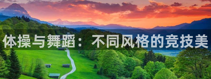 体操与舞蹈：不同风格的竞技美