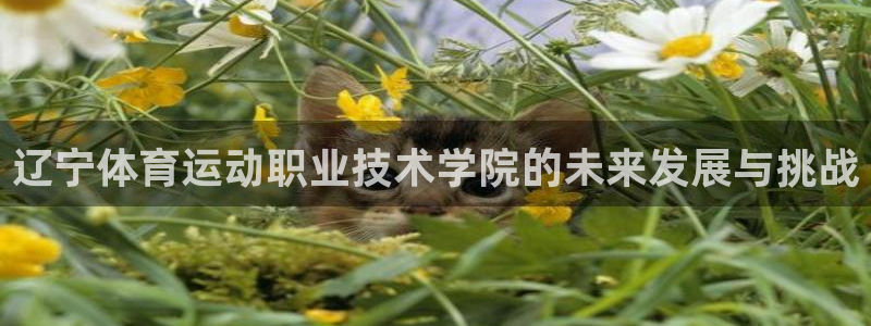 辽宁体育运动职业技术学院的未来发展与挑战