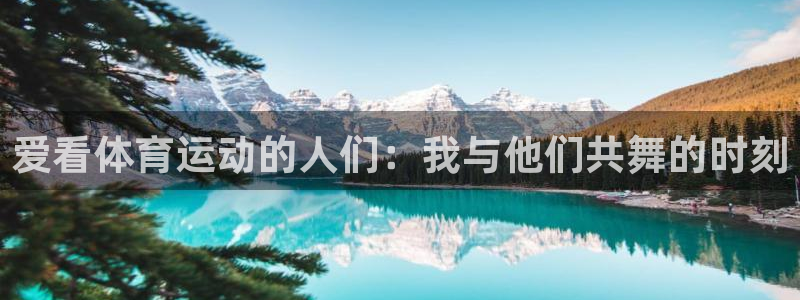 爱看体育运动的人们：我与他们共舞的时刻
