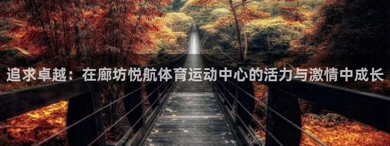 追求卓越：在廊坊悦航体育运动中心的活力与激情中成长
