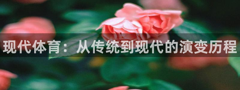 现代体育：从传统到现代的演变历程