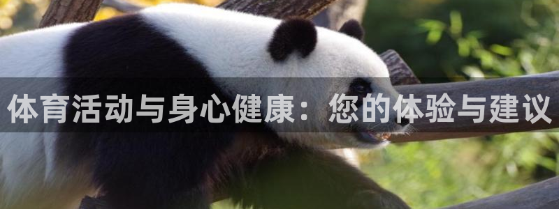 体育活动与身心健康：您的体验与建议