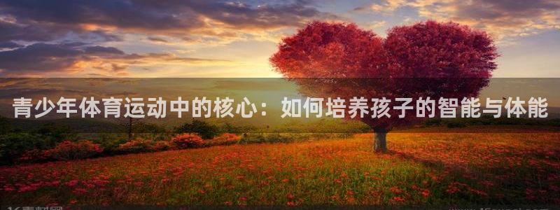 青少年体育运动中的核心：如何培养孩子的智能与体能